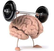 Plastyczność mózgu